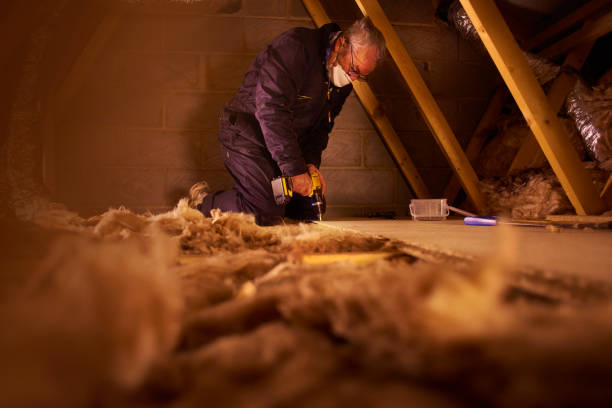 Best Residential Insulation in Princeton, MO